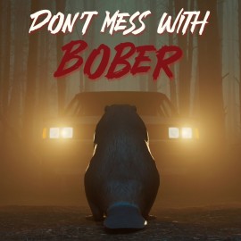 Don't Mess With Bober PS4 (Индия)