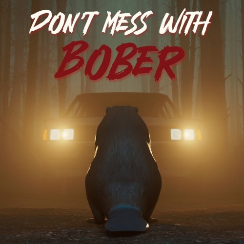 Don't Mess With Bober PS4 (Индия)
