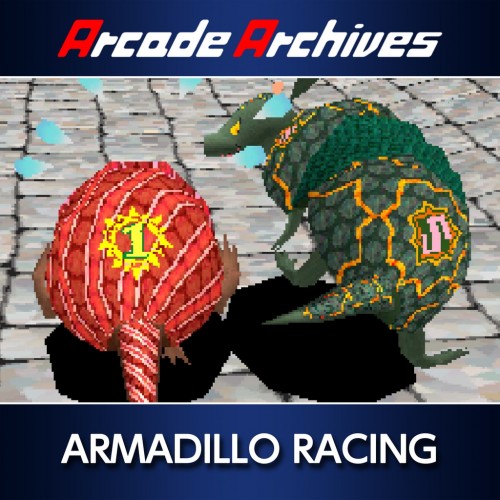 Arcade Archives ARMADILLO RACING PS4 (Индия)