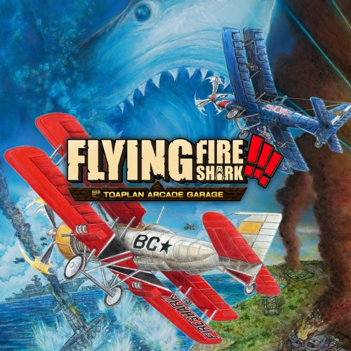 Toaplan Arcade Garage: Flying Fire Shark PS4 (Индия)
