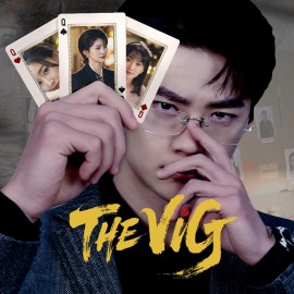 The Vig PS5 (Индия)