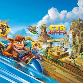 Crash Team Racing Nitro-Fueled PS4 (Индия)