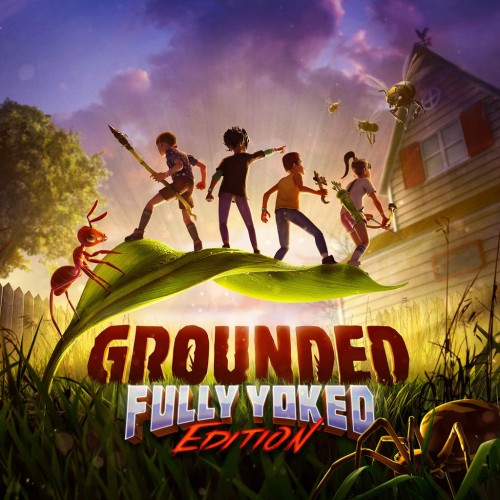 Grounded PS4 & PS5 (Индия)