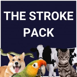 The Stroke Pack PS4 & PS5 (Индия)