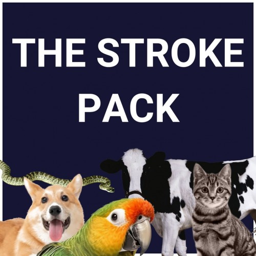 The Stroke Pack PS4 & PS5 (Индия)