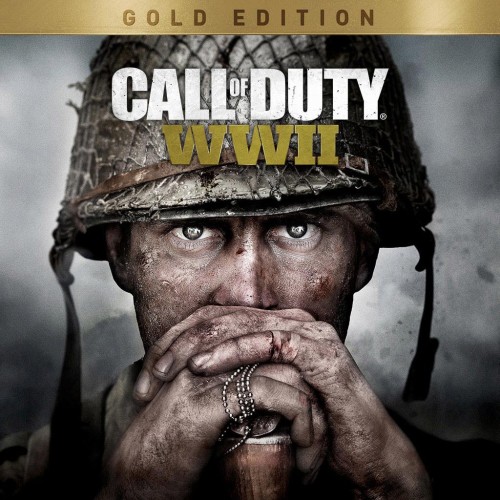 Call of Duty: WWII - Gold Edition PS4 (Индия)