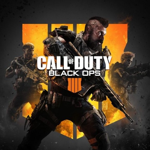 Call of Duty: Black Ops 4 PS4 (Индия)