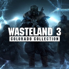 Wasteland 3 Colorado Collection PS4 (Индия)