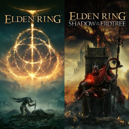 ELDEN RING Shadow of the Erdtree Edition PS4 & PS5 (Индия)