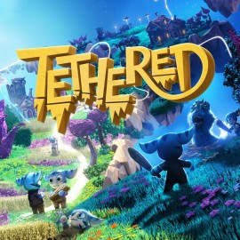 Tethered PS4 (Индия)