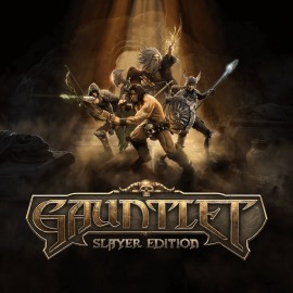 Gauntlet: Slayer Edition PS4 (Индия)