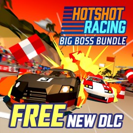 Hotshot Racing PS4 (Индия)