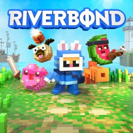 Riverbond PS4 (Индия)