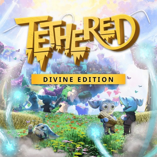 Tethered Divine Edition PS4 (Индия)