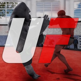 UFIGHT PS4 (Индия)