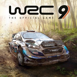 WRC 9 FIA World Rally Championship PS4 & PS5 (Индия)