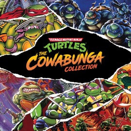 Teenage Mutant Ninja Turtles: The Cowabunga Collection PS4 & PS5 (Индия)