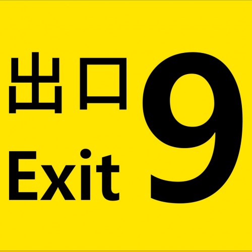 The Exit 9 PS5 (Индия)