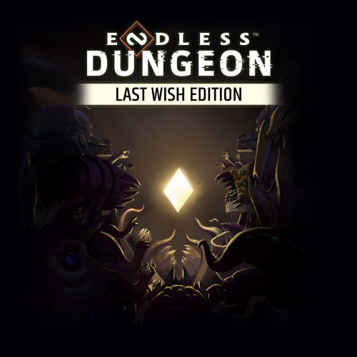 ENDLESS Dungeon Last Wish Edition PS4 & PS5 (Индия)