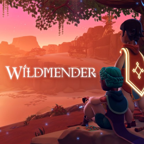 Wildmender PS5 (Индия)