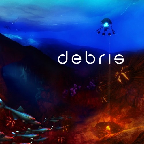 Debris PS4 (Индия)