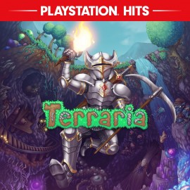 Terraria – PlayStation4 Edition PS4 (Индия)