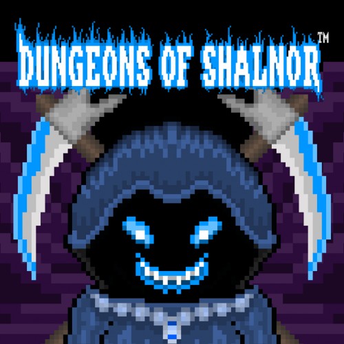 Dungeons of Shalnor PS4 (Индия)