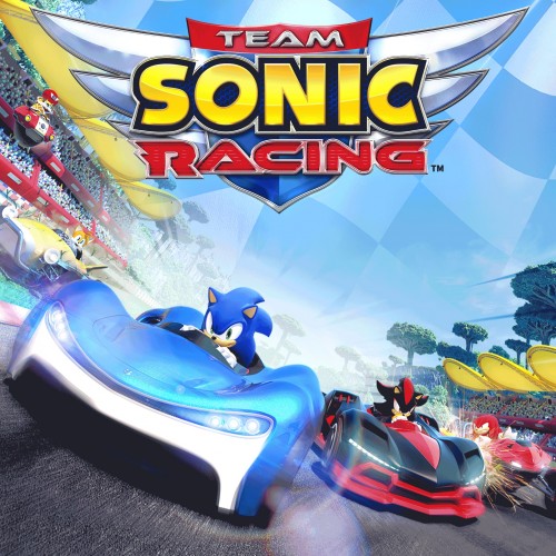 Team Sonic Racing PS4 (Индия)