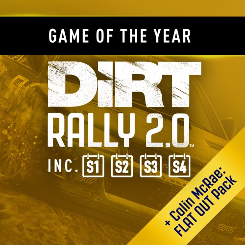 DiRT Rally 2.0 - Game of the Year Edition PS4 (Индия)