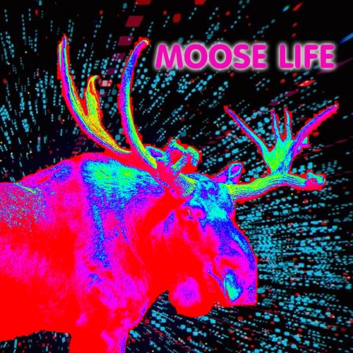 Moose Life PS4 (Индия)