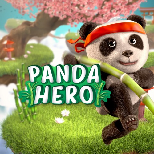 Panda Hero PS4 (Индия)