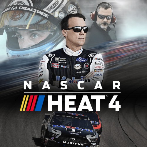 NASCAR Heat 4 PS4 (Индия)