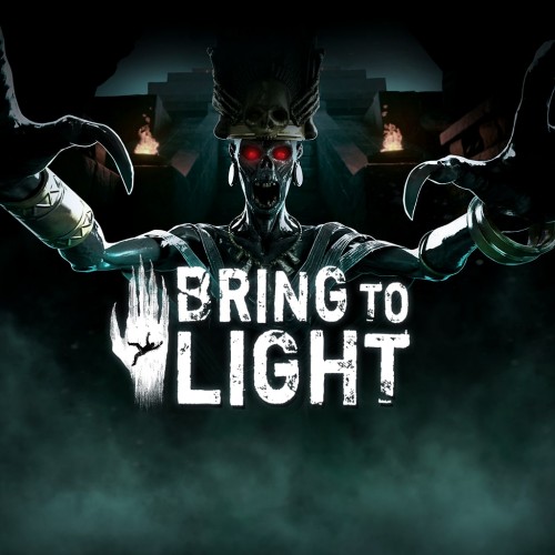 Bring To Light PS4 (Индия)