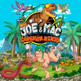 NEW Joe & Mac - Caveman Ninja PS4 & PS5 (Индия)