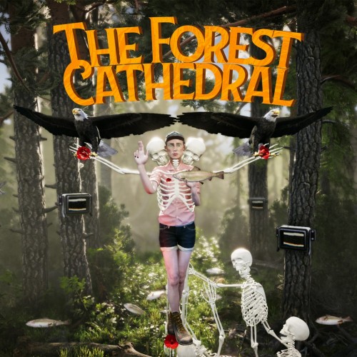 The Forest Cathedral PS5 (Индия)