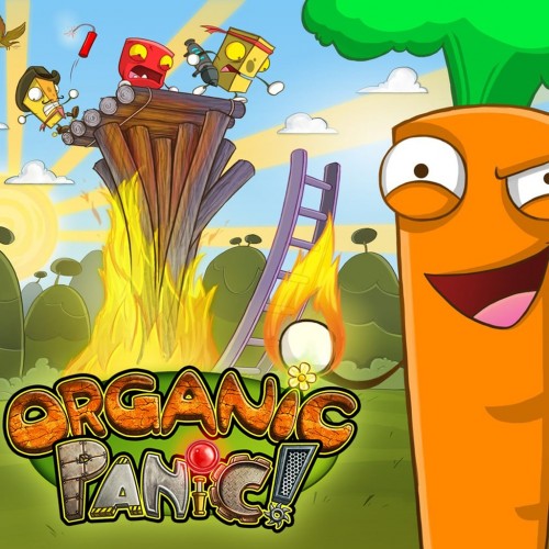 Organic Panic PS4 (Индия)