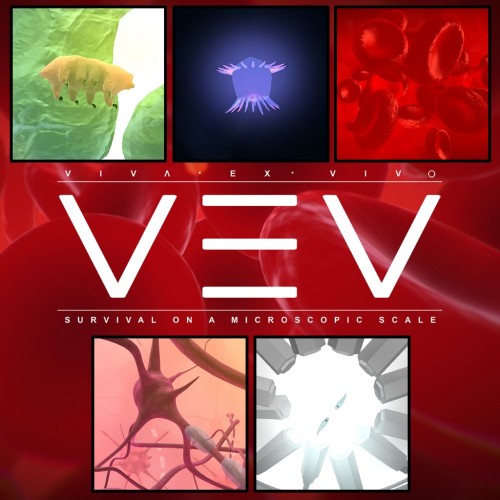 VEV: Viva Ex Vivo Basic Bundle PS4 (Индия)