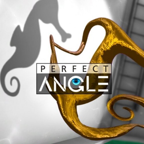 Perfect Angle PS4 (Индия)