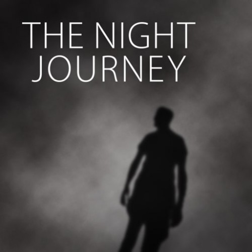 The Night Journey PS4 (Индия)