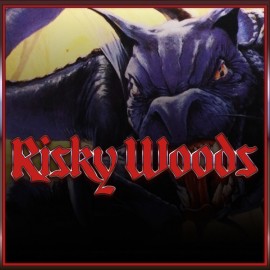 Risky Woods (QUByte Classics) PS4 (Индия)