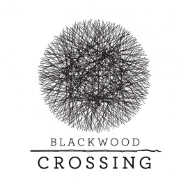 Blackwood Crossing PS4 (Индия)