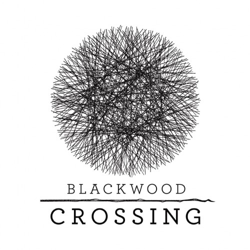 Blackwood Crossing PS4 (Индия)