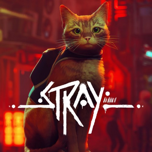 Stray PS4 & PS5 (Индия)