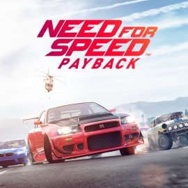 Need for Speed Payback PS4 (Индия)