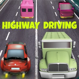 Highway Driving PS4 (Индия)