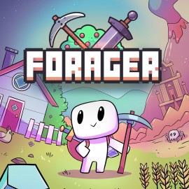 Forager PS4 (Индия)