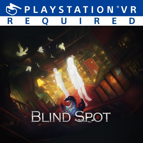 Blind Spot PS4 (Индия)