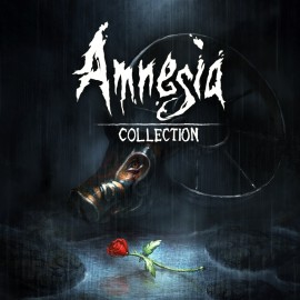 Amnesia: Collection PS4 (Индия)