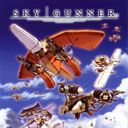 SkyGunner PS4 & PS5 (Индия)