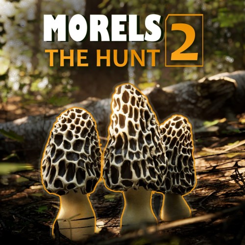 Morels The Hunt 2 PS5 (Индия)